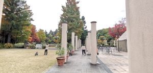 室長日記「久屋大通庭園フラリエ」