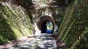室長日記 「双瀬隧道(旧豊橋鉄道田口線)」
