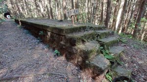 室長日記 「旧豊橋鉄道田口線・三河大草駅跡」