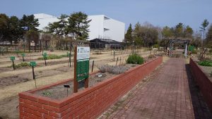 室長日記「くすり博物館・薬草園」