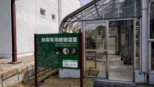 室長日記「くすり博物館④熱帯有用植物温室」