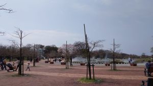 室長日記「フラワーパーク江南」