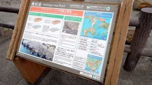 室長日記「橋杭岩」