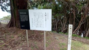室長日記「梶取崎公園・夫婦いぶき」