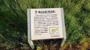 室長日記「勝山古墳」