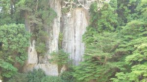 室長日記「大野寺石仏・弥勒磨崖仏」