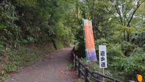 室長日記「井川湖畔遊歩道・廃線小道」