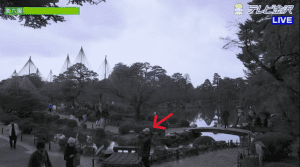 室長日記「兼六園・虹橋の番外編」