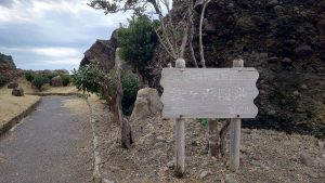 室長日記「福井県・銭ヶ浜園地」