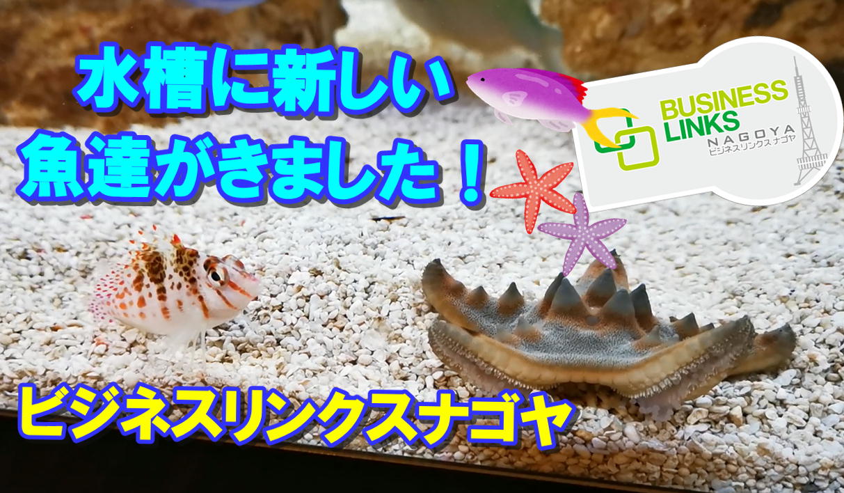 会議室の水槽