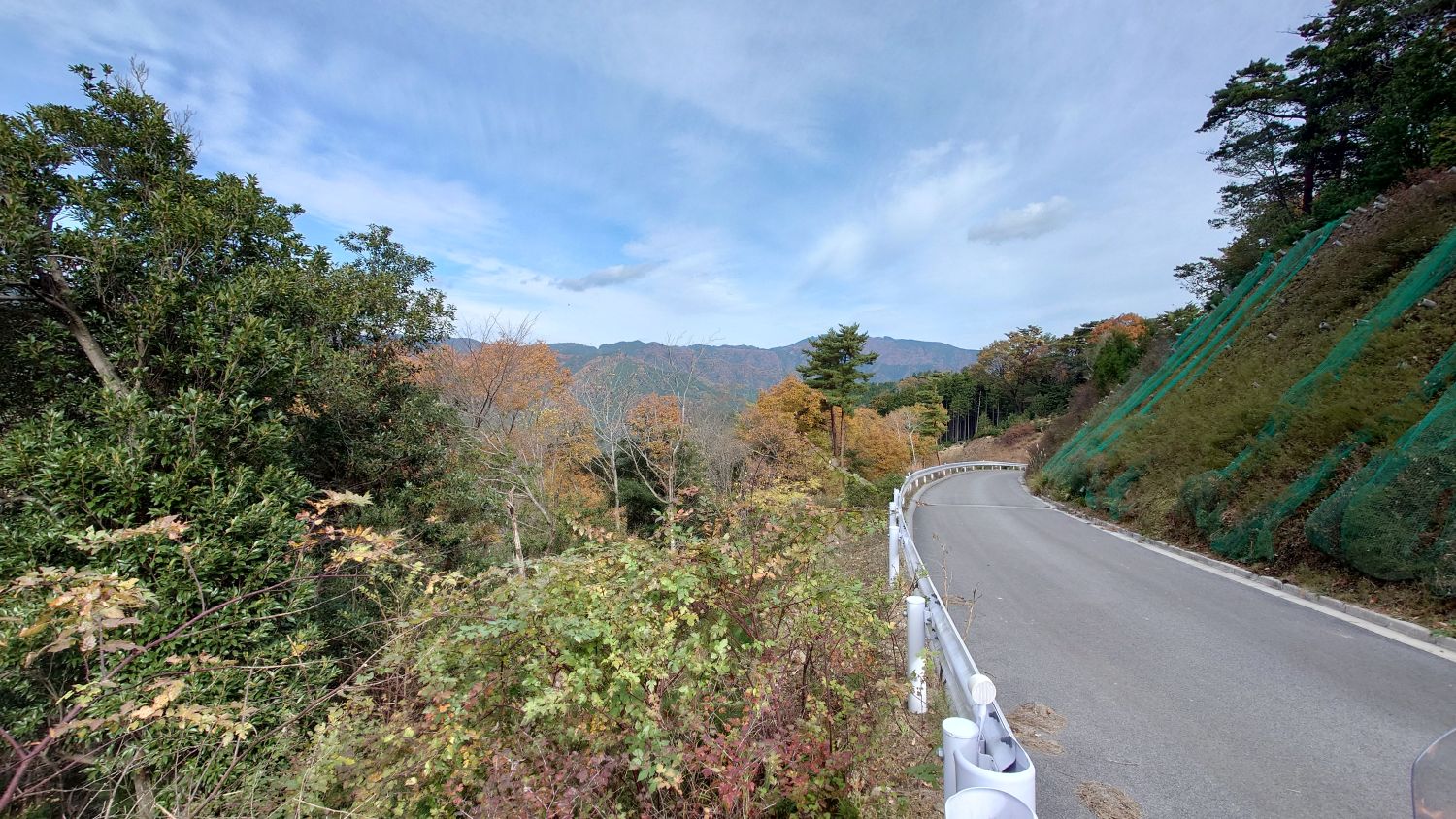 室長日記「明神の森」