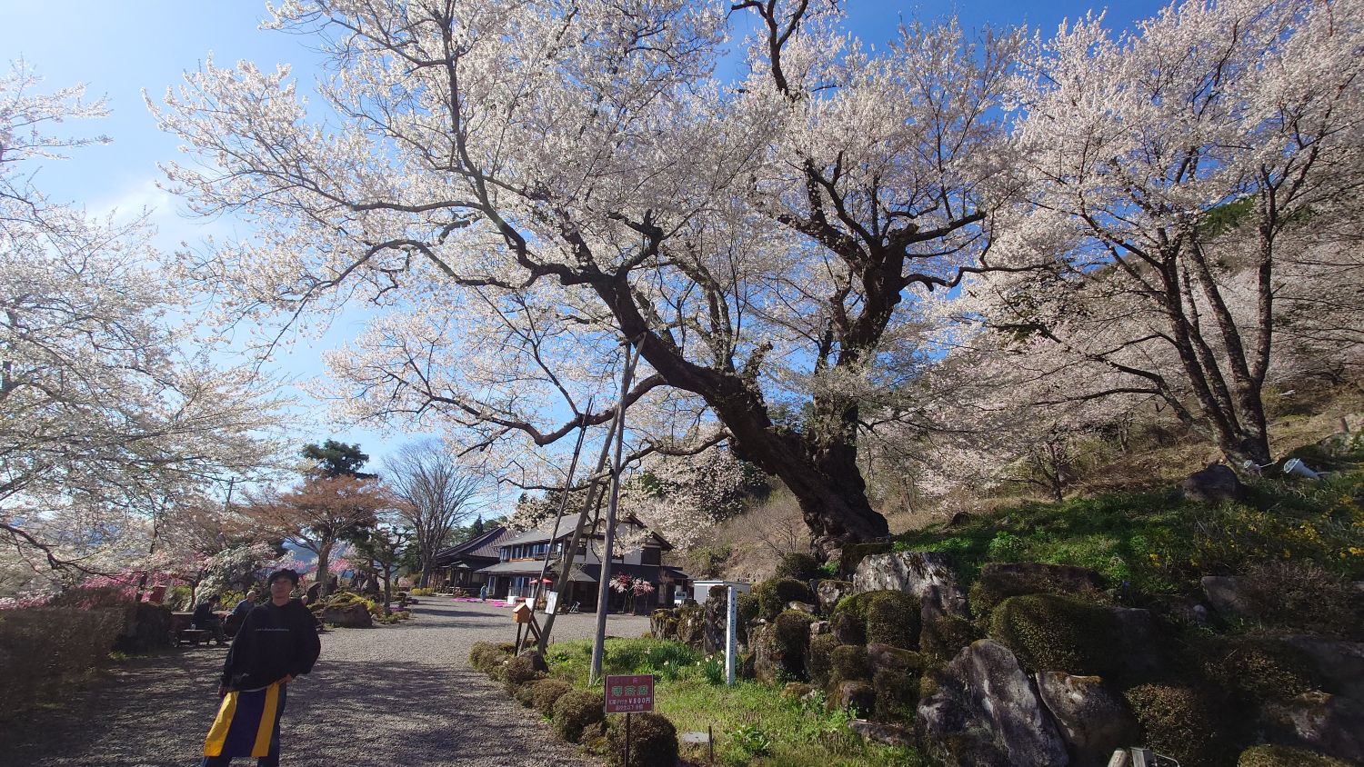 室長日記「清龍山　善勝寺」
