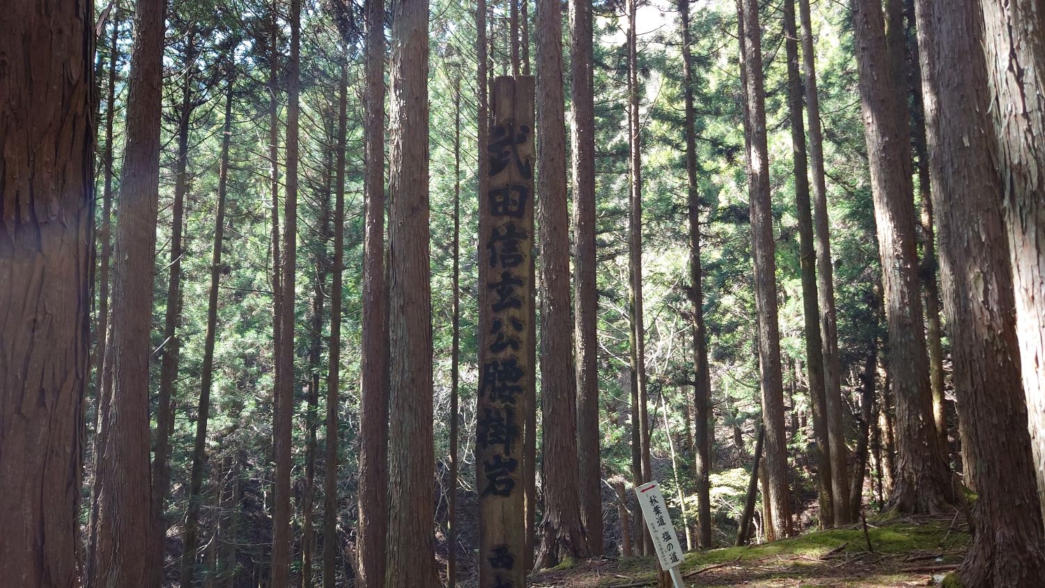 室長日記「武田信玄の腰掛岩」