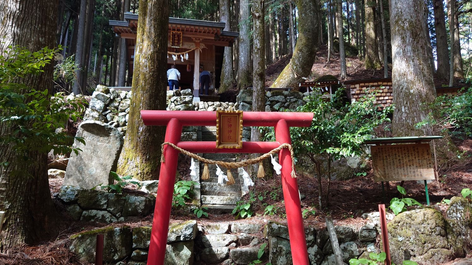 室長日記「しっぺい太郎の墓」（早太郎霊廟）