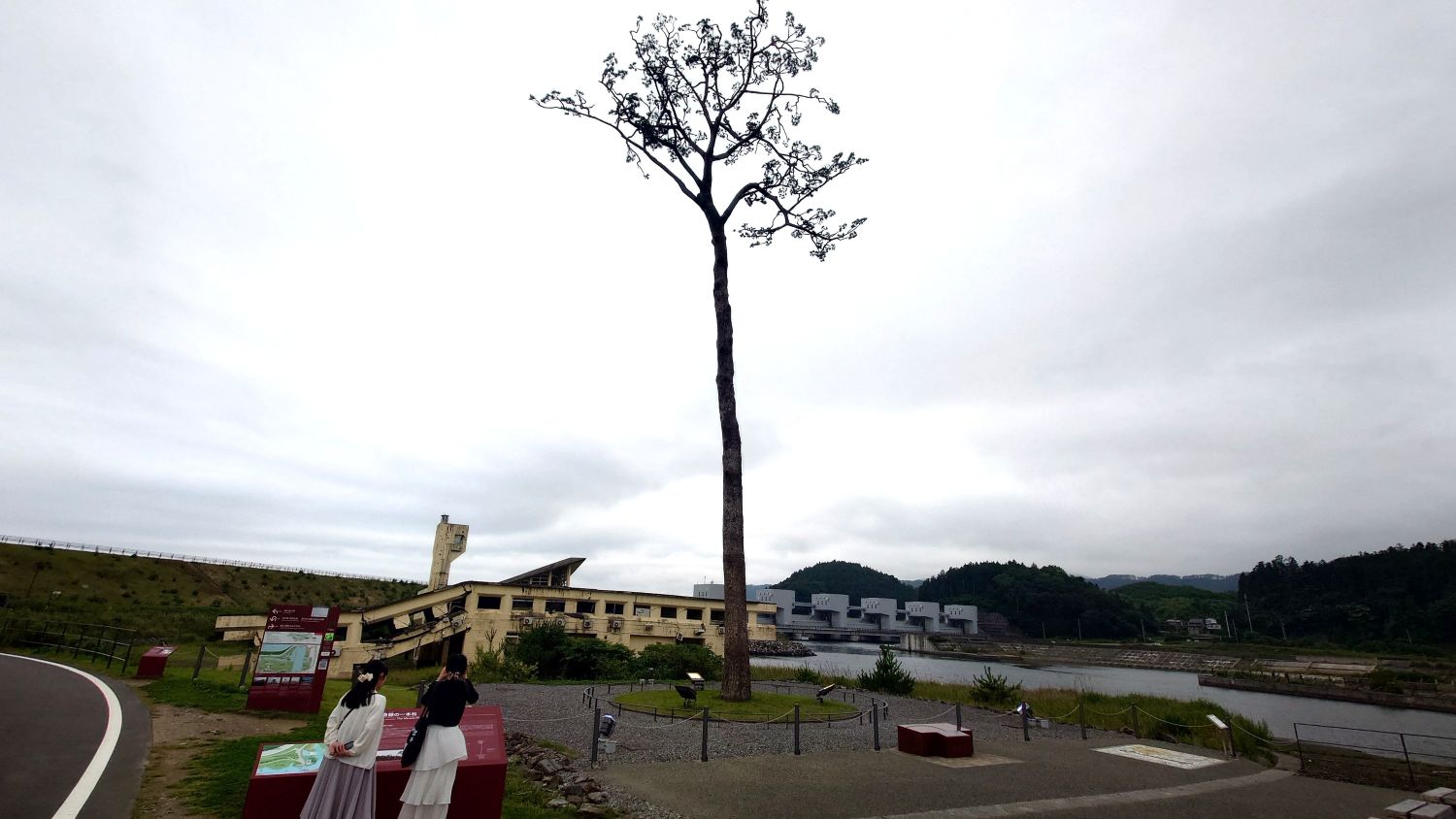室長日記「陸前高田市・奇跡の一本松」